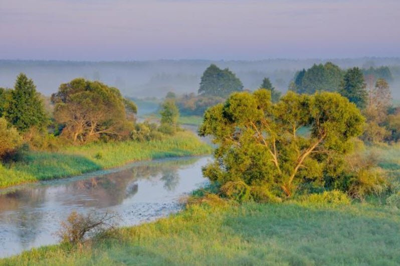 Biarezinski Biosphere Reserve , Minsk Region, Belarus